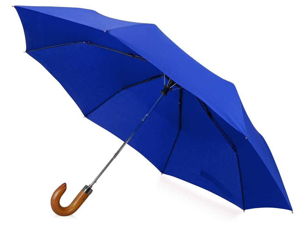 Зонт складной Cary, полуавтоматический, 3 сложения, с чехлом, синий