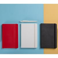 Подарочный набор Moleskine Picasso с блокнотом А5 и ручкой, белый