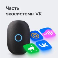 Умная колонка VK Капсула с голосовым помощником Марусей, черный