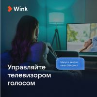 Умная колонка VK Капсула Мини с голосовым помощником Марусей, темный серый