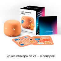 VK Капсула нео с голосовым помощником Марусей, оранжевый