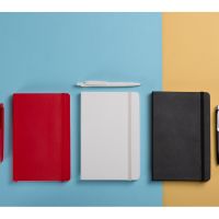 Подарочный набор Moleskine Indiana с блокнотом А5 Soft и ручкой, красный