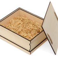 Подарочная коробка Invio, прозрачный