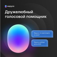 Умная колонка VK Капсула с голосовым помощником Марусей, черный